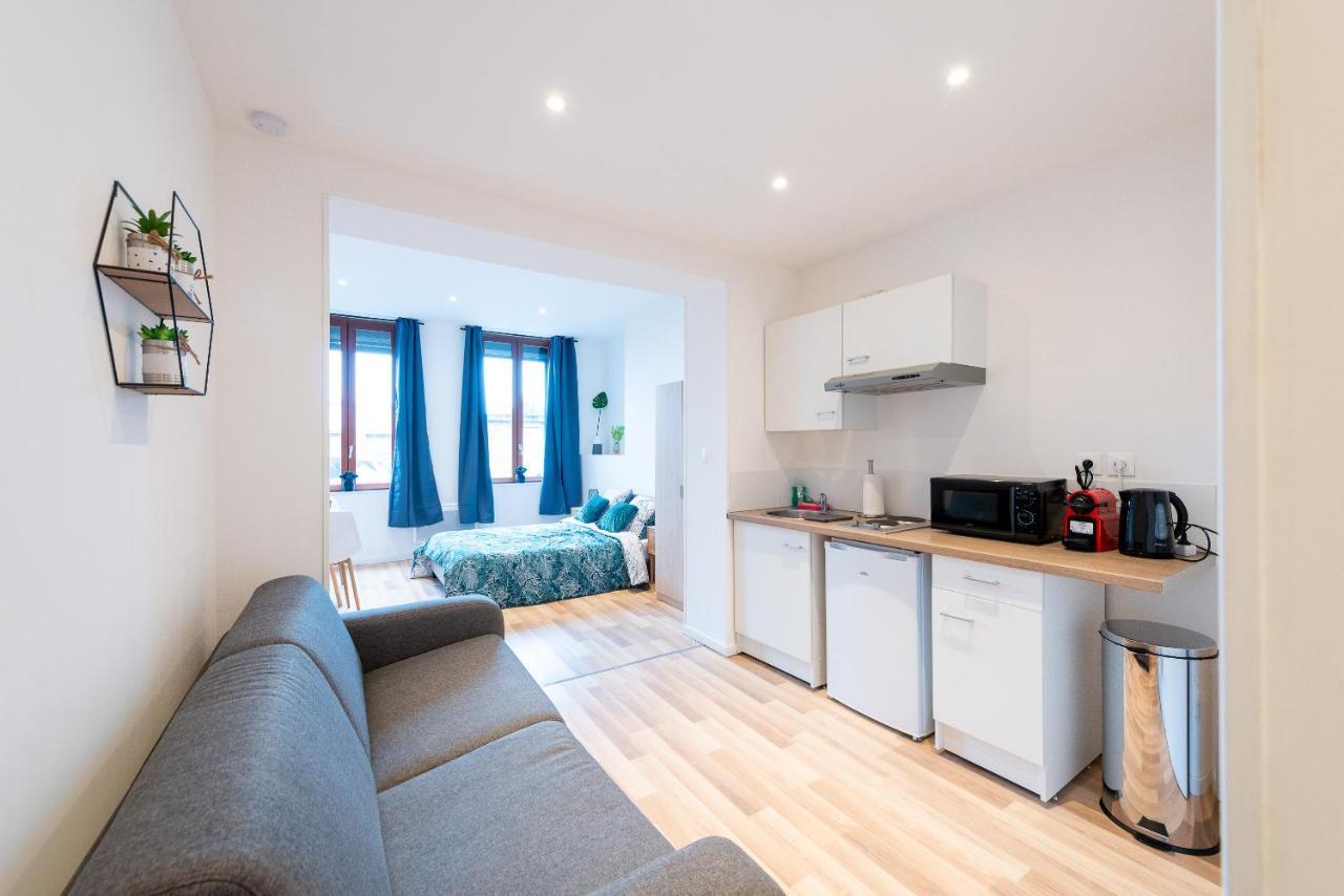 Cosy Location - Confortable, Cosy Et Equipe - Places Gratuites A Proximite Anzin ภายนอก รูปภาพ