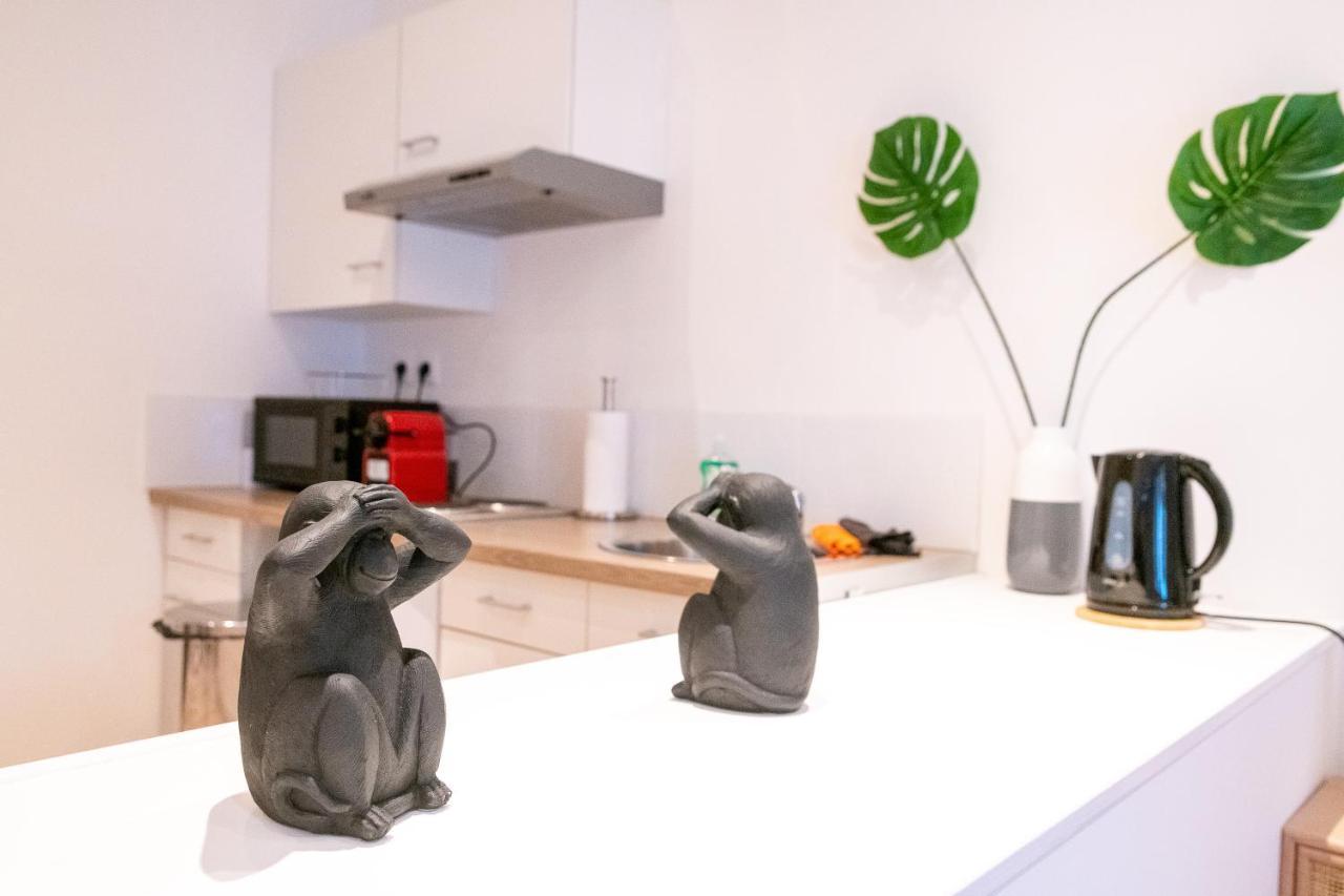 Cosy Location - Confortable, Cosy Et Equipe - Places Gratuites A Proximite Anzin ภายนอก รูปภาพ
